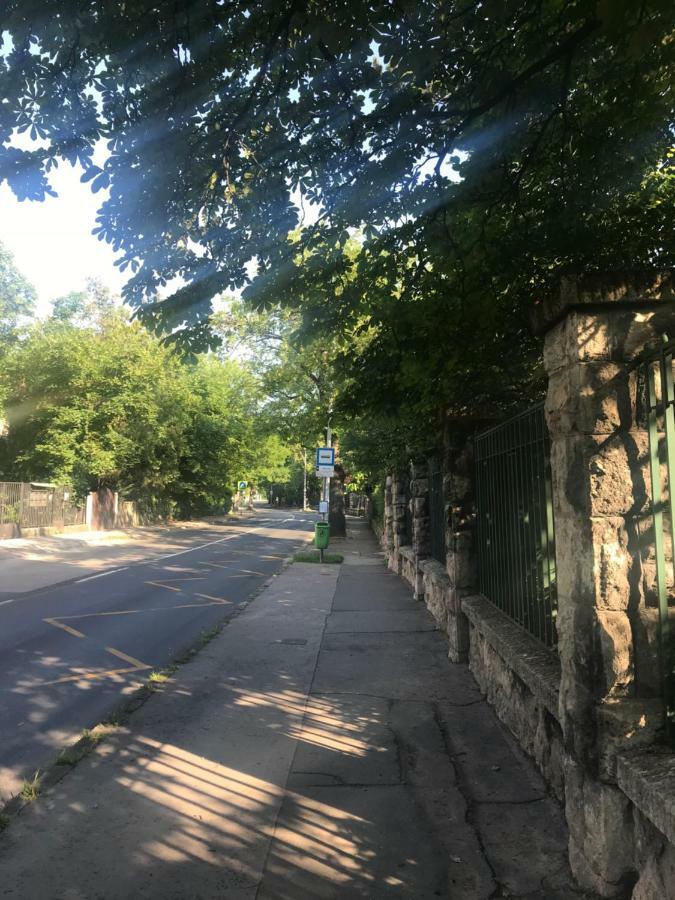 Pasaret Studio Budapešť Exteriér fotografie